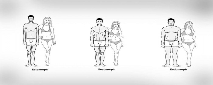 de-drie-lichaamstypes.jpg